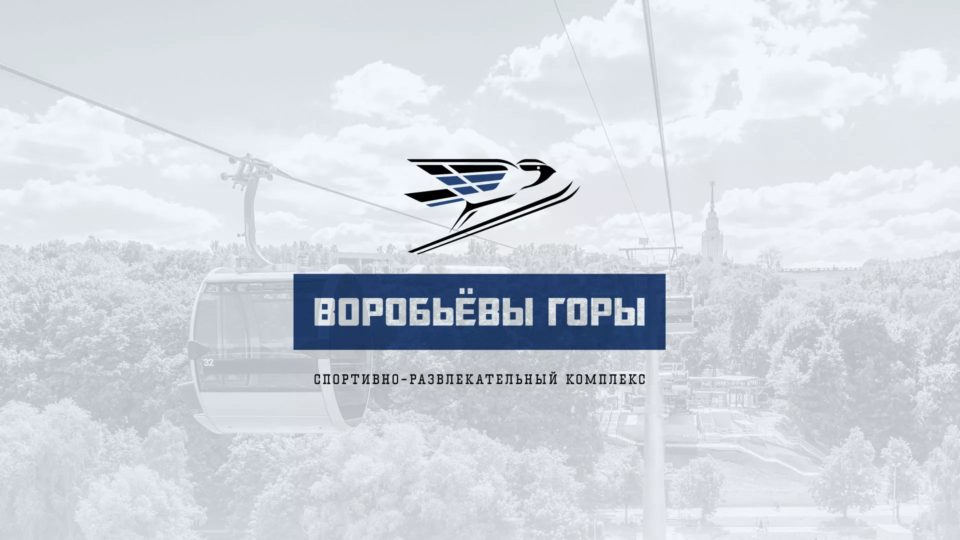 Разработка сайта в Константиновске для спортивно-развлекательного комплекса «Воробьёвы горы»