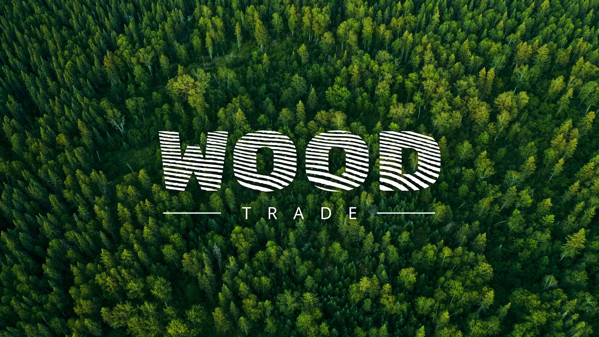Разработка интернет-магазина компании «Wood Trade» в Константиновске