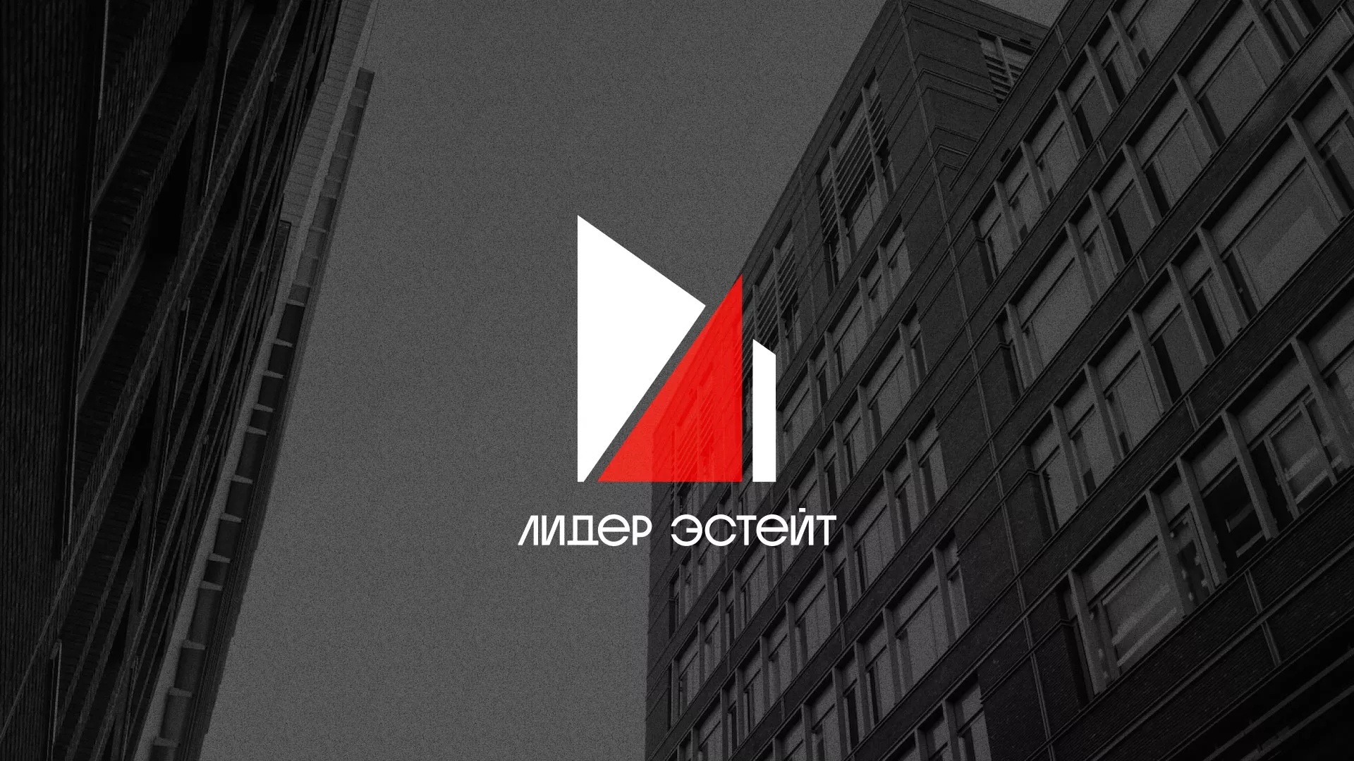 Сделали логотип для агентства недвижимости «Лидер Эстейт» в Константиновске